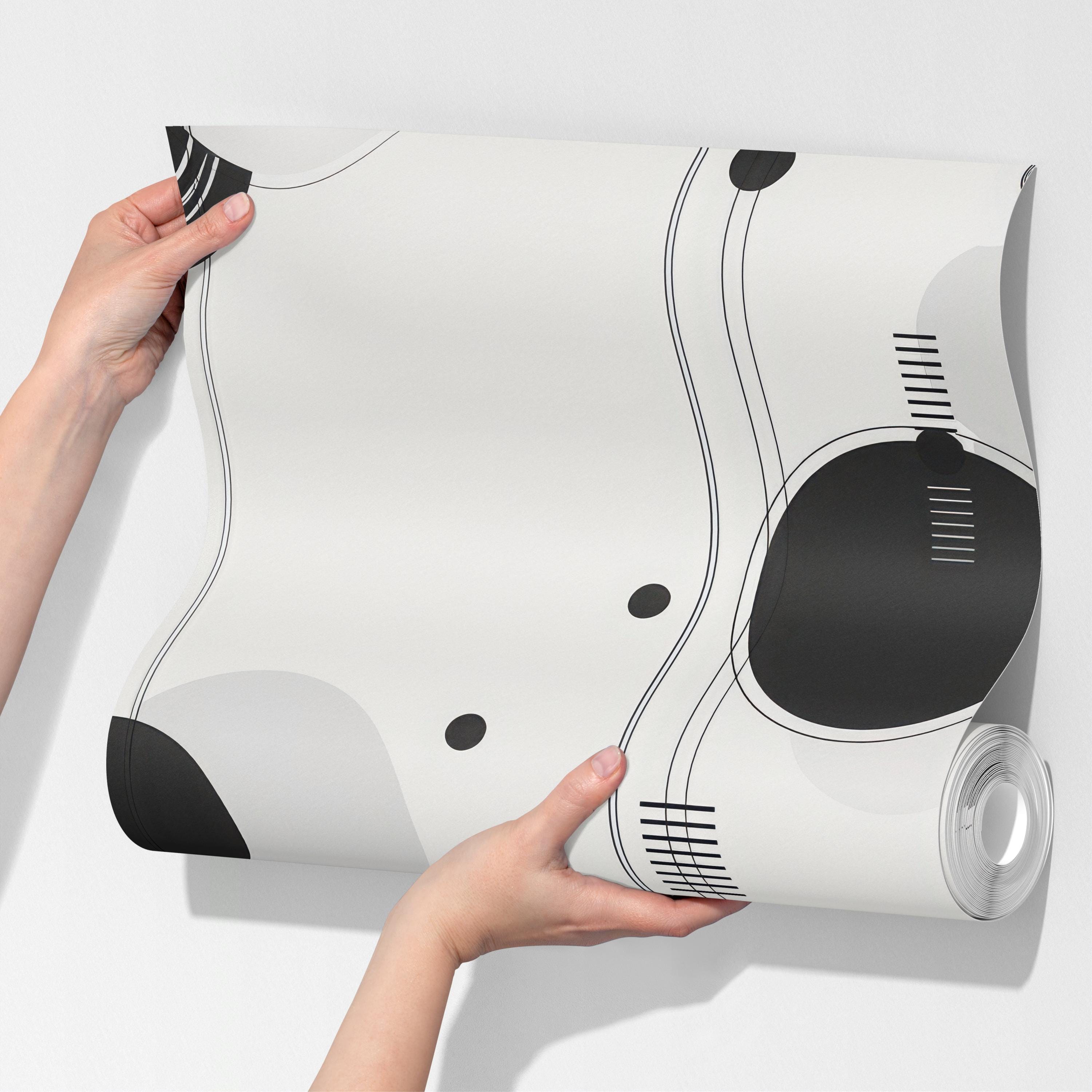 Black and White Geometric Circle Line Wallpaper